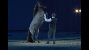 La Provence, place centrale de l’art à cheval