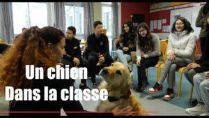 Cavaillon : Oasis, un chien au collège pour apaiser les élèves et leur donner confiance