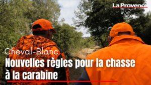 A Cheval-Blanc : le maire veut encadrer la chasse le dimanche et l'utilisation des carabines