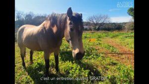 Éco-pâturage à Antibes Juan-les-Pins