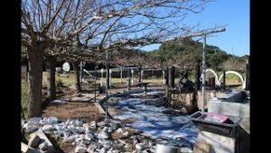 Le restaurant "Le Bison" incendié à Pianottoli-Caldarello, l'incompréhension des gérants