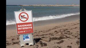 "On aurait préféré nager que cramer au soleil" : les plages de Marseille toujours interdites