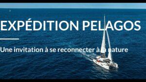 Lancement de l'expédition Pelagos "We are méditerranée"