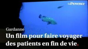 Gardanne : filmer les fonds marins du monde entier pour faire voyager des patients en fin de vie