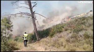 Un incendie est en cours sur la commune de Rognac à proximité de l'Autoroute A7