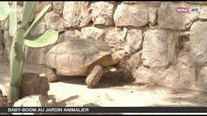 Animaux : Visite du Jardin Animalier Rainier III